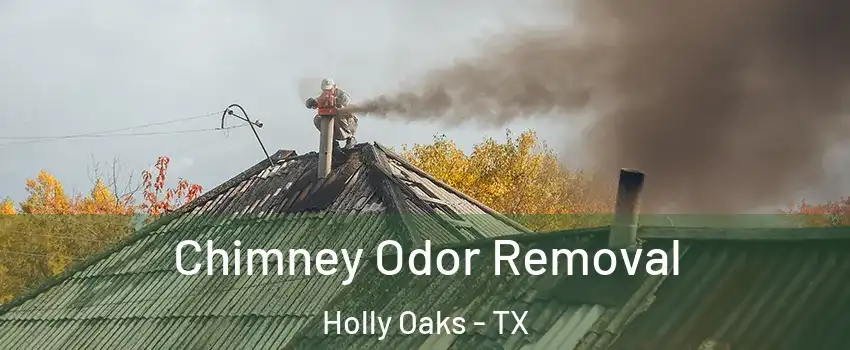 Chimney Odor Removal Holly Oaks - TX
