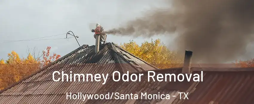 Chimney Odor Removal Hollywood/Santa Monica - TX