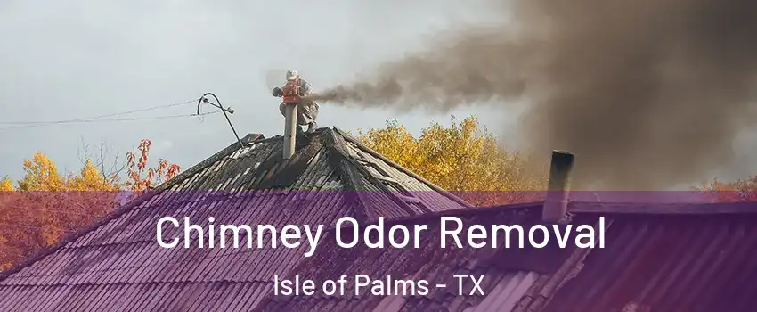 Chimney Odor Removal Isle of Palms - TX
