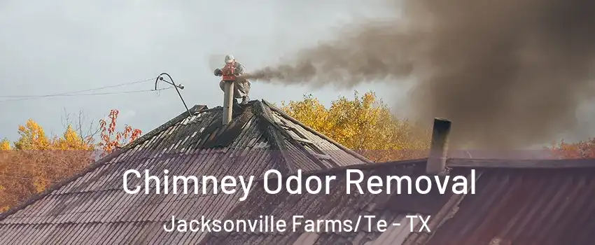 Chimney Odor Removal Jacksonville Farms/Te - TX