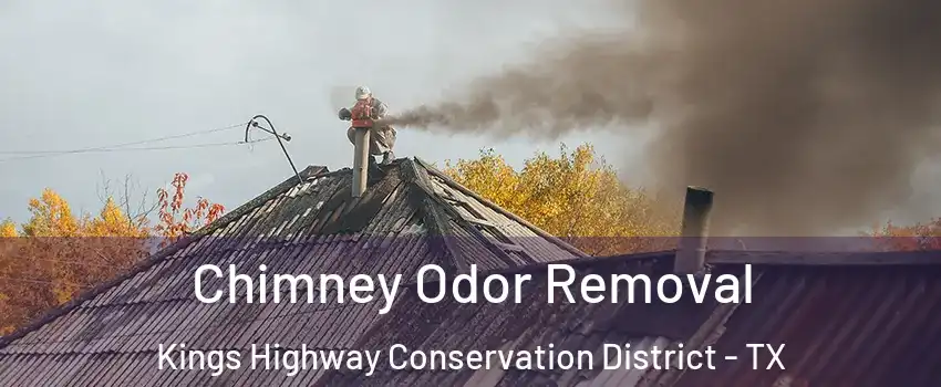 Chimney Odor Removal Kings Highway Conservation District - TX