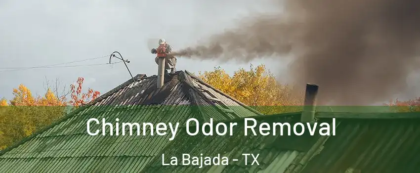Chimney Odor Removal La Bajada - TX