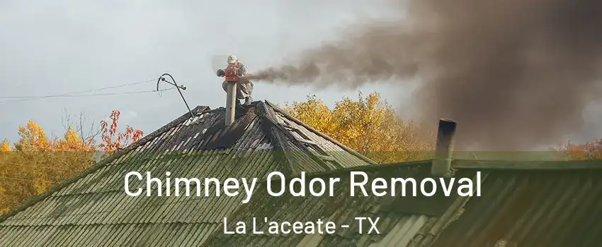 Chimney Odor Removal La L'aceate - TX