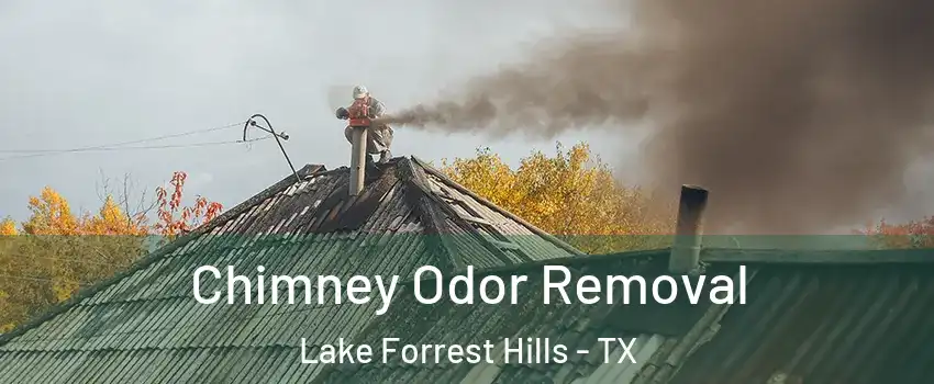 Chimney Odor Removal Lake Forrest Hills - TX