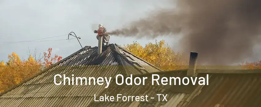 Chimney Odor Removal Lake Forrest - TX