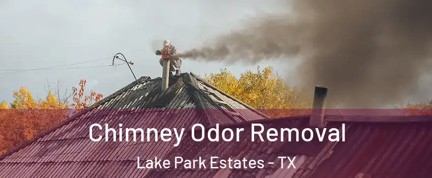 Chimney Odor Removal Lake Park Estates - TX