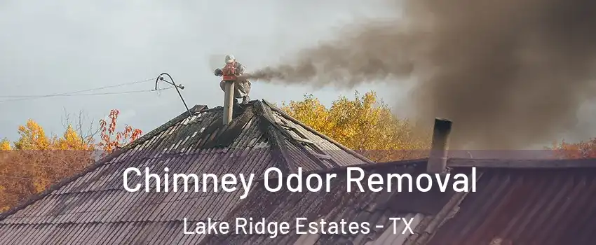Chimney Odor Removal Lake Ridge Estates - TX
