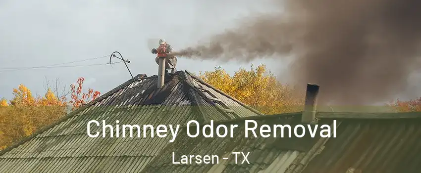 Chimney Odor Removal Larsen - TX