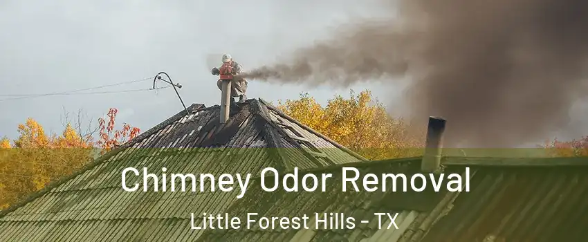 Chimney Odor Removal Little Forest Hills - TX