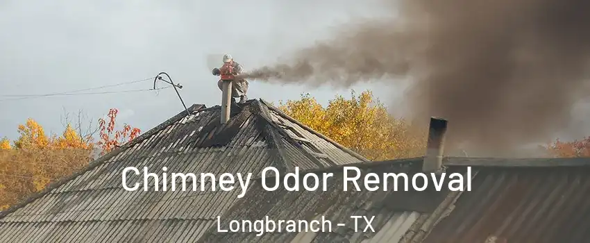 Chimney Odor Removal Longbranch - TX