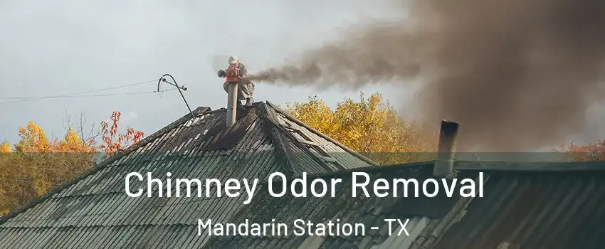 Chimney Odor Removal Mandarin Station - TX