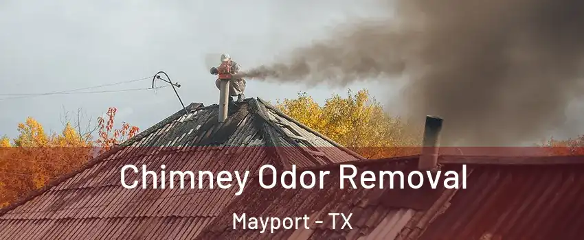 Chimney Odor Removal Mayport - TX