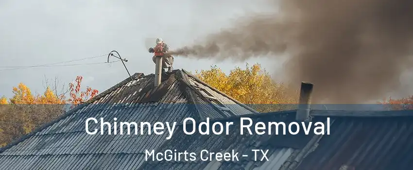 Chimney Odor Removal McGirts Creek - TX