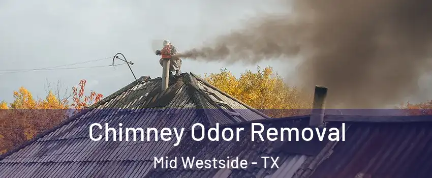 Chimney Odor Removal Mid Westside - TX