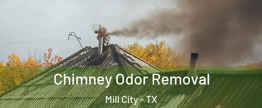 Chimney Odor Removal Mill City - TX