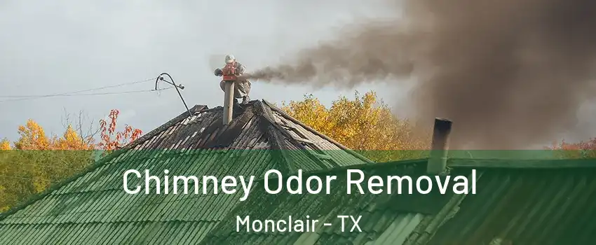 Chimney Odor Removal Monclair - TX
