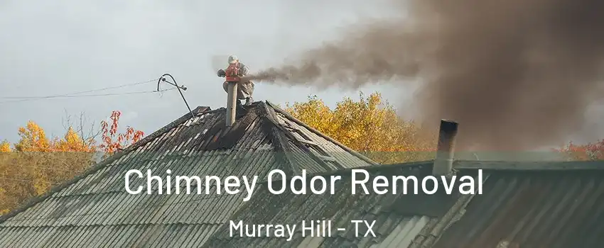 Chimney Odor Removal Murray Hill - TX