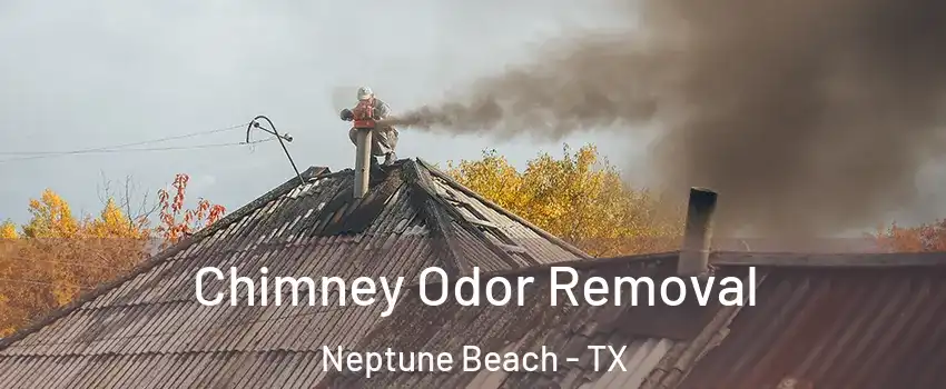 Chimney Odor Removal Neptune Beach - TX