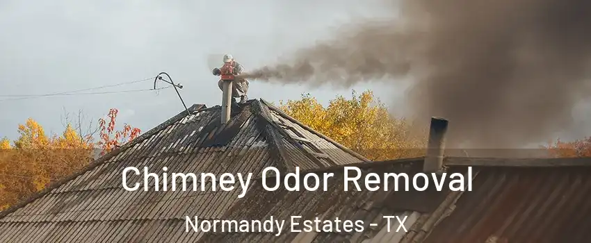 Chimney Odor Removal Normandy Estates - TX