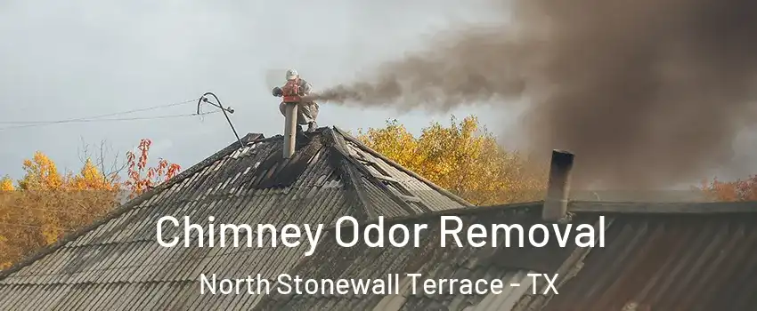 Chimney Odor Removal North Stonewall Terrace - TX