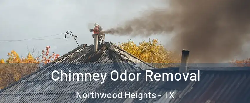 Chimney Odor Removal Northwood Heights - TX
