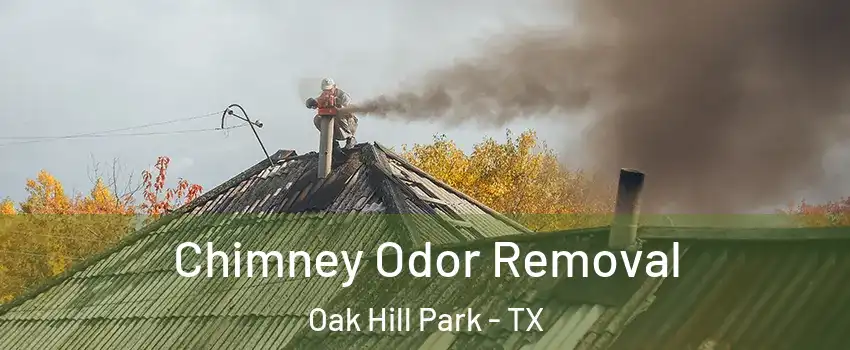 Chimney Odor Removal Oak Hill Park - TX