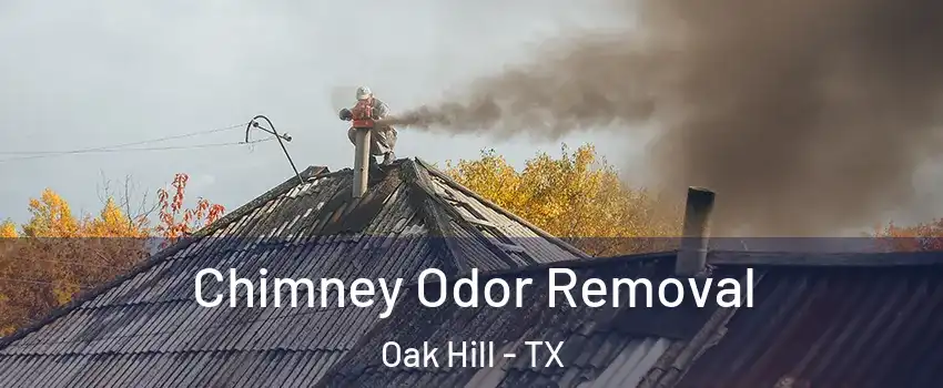 Chimney Odor Removal Oak Hill - TX