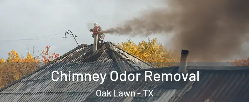 Chimney Odor Removal Oak Lawn - TX