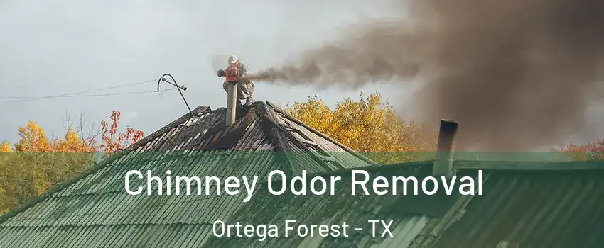 Chimney Odor Removal Ortega Forest - TX