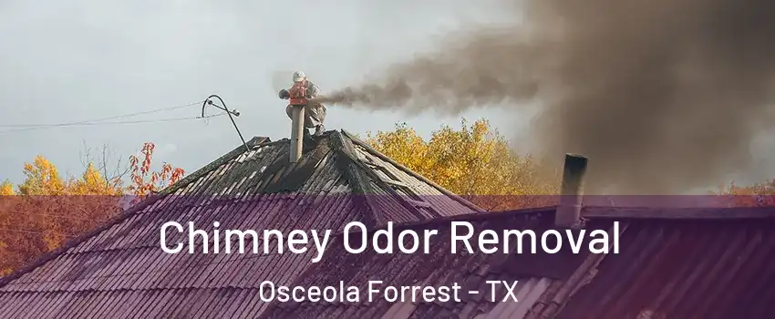 Chimney Odor Removal Osceola Forrest - TX