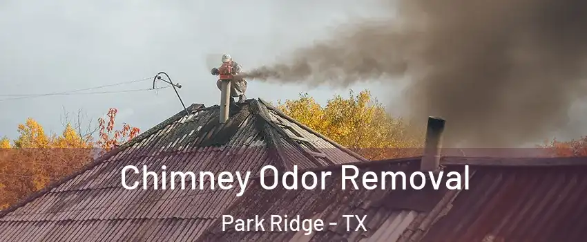 Chimney Odor Removal Park Ridge - TX