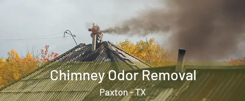 Chimney Odor Removal Paxton - TX