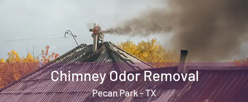 Chimney Odor Removal Pecan Park - TX