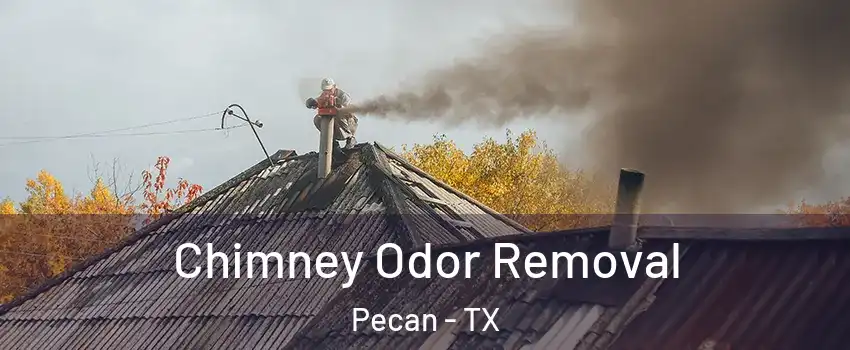 Chimney Odor Removal Pecan - TX