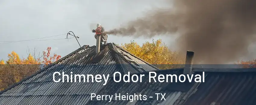 Chimney Odor Removal Perry Heights - TX