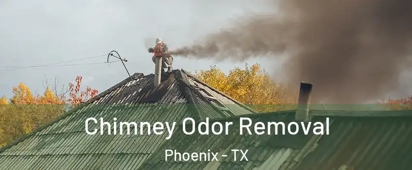 Chimney Odor Removal Phoenix - TX