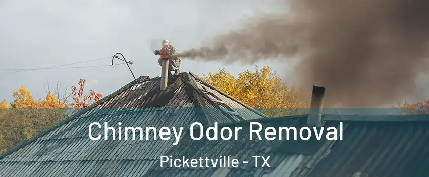 Chimney Odor Removal Pickettville - TX