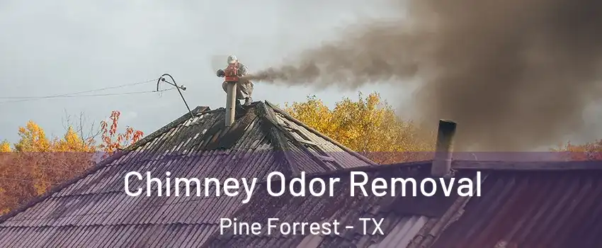 Chimney Odor Removal Pine Forrest - TX