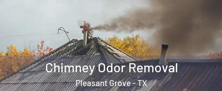 Chimney Odor Removal Pleasant Grove - TX