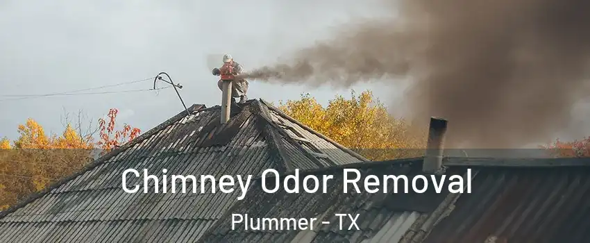 Chimney Odor Removal Plummer - TX