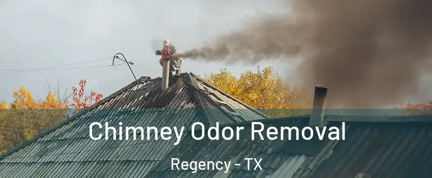 Chimney Odor Removal Regency - TX