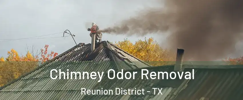 Chimney Odor Removal Reunion District - TX