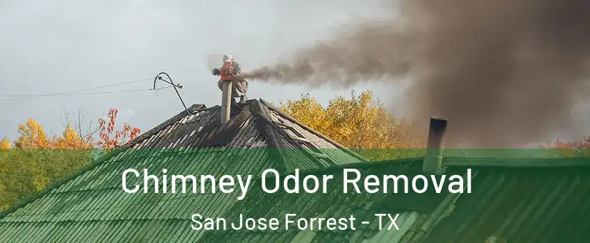 Chimney Odor Removal San Jose Forrest - TX
