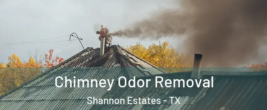 Chimney Odor Removal Shannon Estates - TX