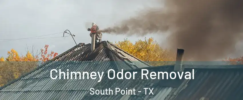 Chimney Odor Removal South Point - TX