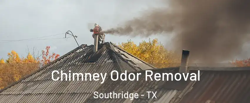 Chimney Odor Removal Southridge - TX