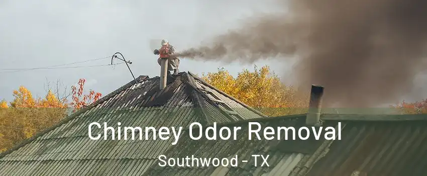 Chimney Odor Removal Southwood - TX