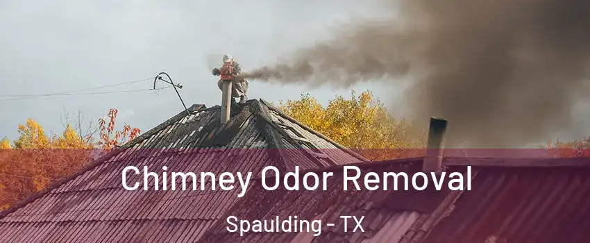 Chimney Odor Removal Spaulding - TX