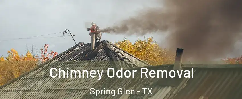 Chimney Odor Removal Spring Glen - TX