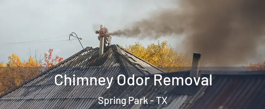 Chimney Odor Removal Spring Park - TX